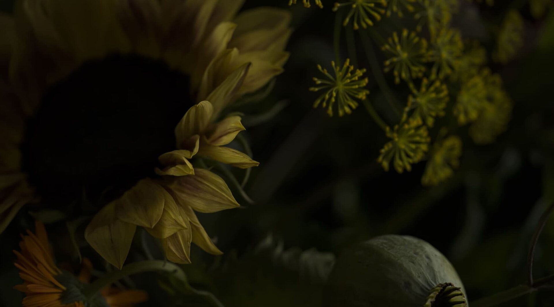 about-intro-bg