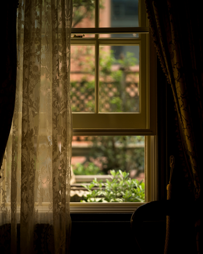 ‘s Portrait Window